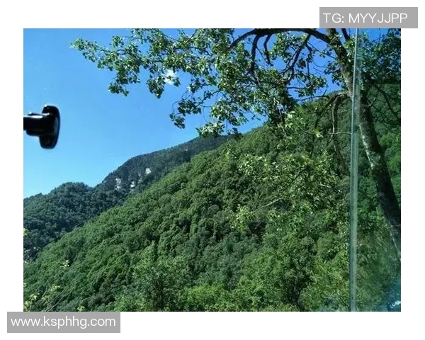 羽毛球的荣耀之路：北京羽毛球队奋斗与突破的真实记录